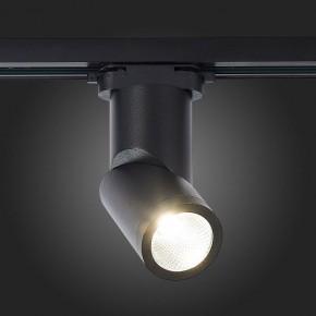 Светильник на штанге ST-Luce ST650 ST650.436.10 в Миассе - miass.mebel24.online | фото 4