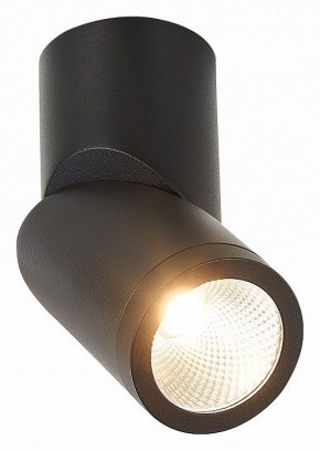 Светильник на штанге ST-Luce ST650 ST650.442.10 в Миассе - miass.mebel24.online | фото 2