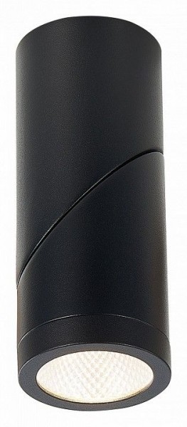 Светильник на штанге ST-Luce ST650 ST650.442.10 в Миассе - miass.mebel24.online | фото 3