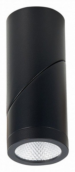 Светильник на штанге ST-Luce ST650 ST650.442.10 в Миассе - miass.mebel24.online | фото 4