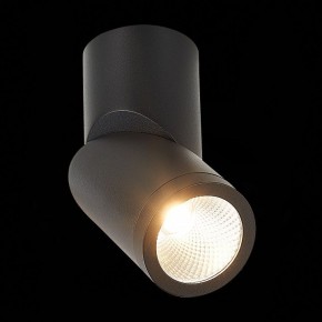 Светильник на штанге ST-Luce ST650 ST650.442.10 в Миассе - miass.mebel24.online | фото 5
