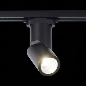 Светильник на штанге ST-Luce ST650 ST650.446.10 в Миассе - miass.mebel24.online | фото 2