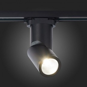 Светильник на штанге ST-Luce ST650 ST650.446.10 в Миассе - miass.mebel24.online | фото 4