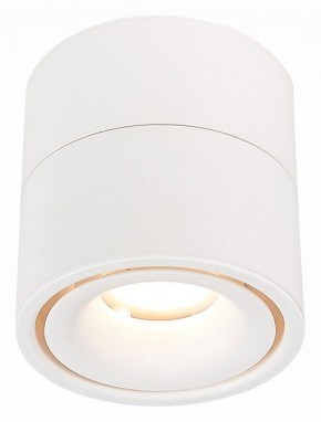 Светильник на штанге ST-Luce ST652 ST652.542.12 в Миассе - miass.mebel24.online | фото 2