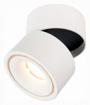 Светильник на штанге ST-Luce ST652 ST652.542.12 в Миассе - miass.mebel24.online | фото 3