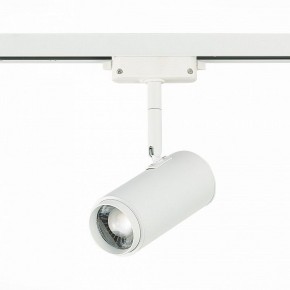 Светильник на штанге ST-Luce Zoom ST600.546.12 в Миассе - miass.mebel24.online | фото 3