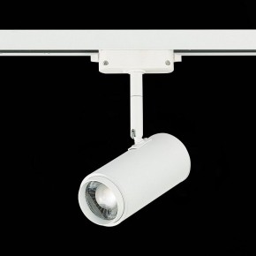 Светильник на штанге ST-Luce Zoom ST600.546.12 в Миассе - miass.mebel24.online | фото 5