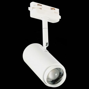 Светильник на штанге ST-Luce Zoom ST600.546.12 в Миассе - miass.mebel24.online | фото 6