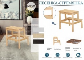 Табурет Стремянка в Миассе - miass.mebel24.online | фото 4