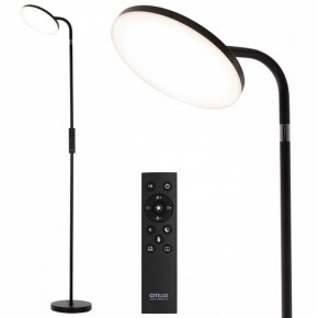 Торшер Citilux SOLO CL804061 в Миассе - miass.mebel24.online | фото 2