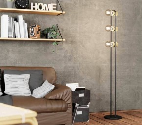 Торшер Eglo ПРОМО Chieveley 43544 в Миассе - miass.mebel24.online | фото 2