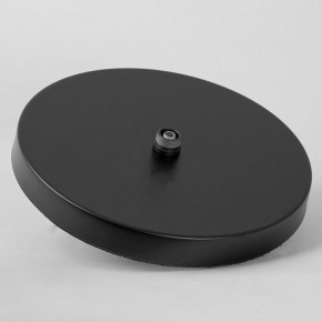 Торшер Lussole Carmel LSP-0901-SE в Миассе - miass.mebel24.online | фото 8