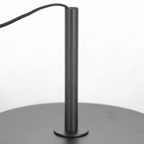 Торшер Lussole  LSP-0590 в Миассе - miass.mebel24.online | фото 3