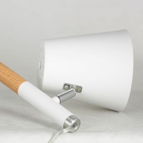 Торшер Lussole Buckeye LSP-0628 в Миассе - miass.mebel24.online | фото 4