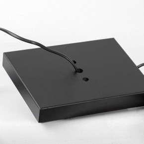 Торшер Lussole Prairie LSP-0913 в Миассе - miass.mebel24.online | фото 4
