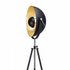 Торшер Lussole Sherrelwood GRLSP-9824 в Миассе - miass.mebel24.online | фото 5