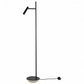 Торшер Maytoni Estudo Z010FL-L8B3K в Миассе - miass.mebel24.online | фото 2