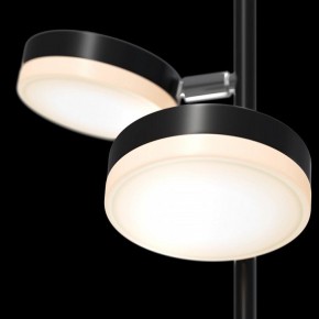 Торшер Maytoni Fad MOD070FL-L12B3K в Миассе - miass.mebel24.online | фото