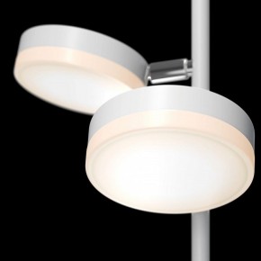 Торшер Maytoni Fad MOD070FL-L12W3K в Миассе - miass.mebel24.online | фото 5