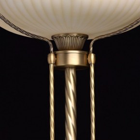 Торшер MW-Light Афродита 1 317040901 в Миассе - miass.mebel24.online | фото 6
