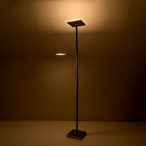 Торшер с подсветкой Citilux Харди CL802011 в Миассе - miass.mebel24.online | фото 11