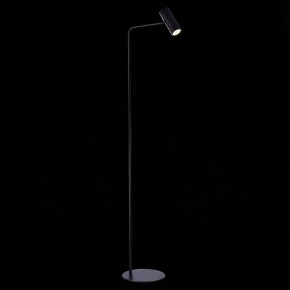 Торшер ST-Luce Arper SL1006.405.01 в Миассе - miass.mebel24.online | фото 3