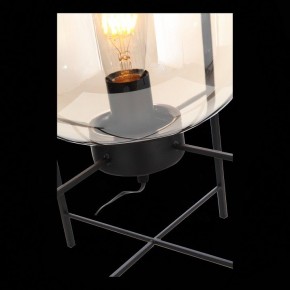 Торшер ST-Luce Burasca SL1050.505.01 в Миассе - miass.mebel24.online | фото 9