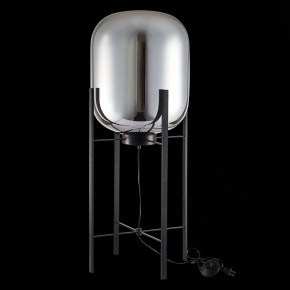 Торшер ST-Luce Burasca SL1050.715.01 в Миассе - miass.mebel24.online | фото