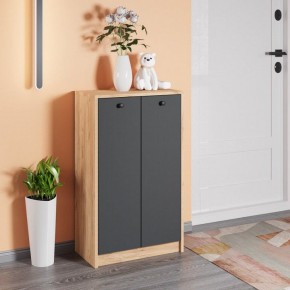 Тумба для обуви Рино в Миассе - miass.mebel24.online | фото 3