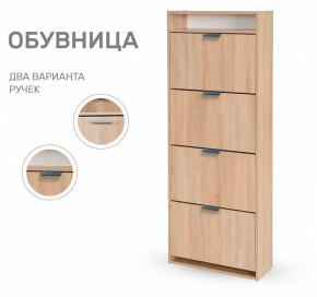 Тумба для обуви Ройс 4 в Миассе - miass.mebel24.online | фото 8