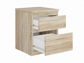 Тумба КАСТОР малая с двумя ящиками, цвет Дуб Сонома в Миассе - miass.mebel24.online | фото 2