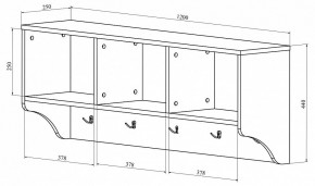 Вешалка-полка ДримСтар ДС-30 в Миассе - miass.mebel24.online | фото 2