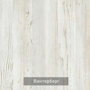 ВИНТЕР - 6.16.1 Шкаф-купе 1600 без зеркала в Миассе - miass.mebel24.online | фото 5
